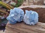 Natural Small Blue Celestite Specimens x 56 From Sakoany, Madagascar - Toprock Gemstones and Minerals 