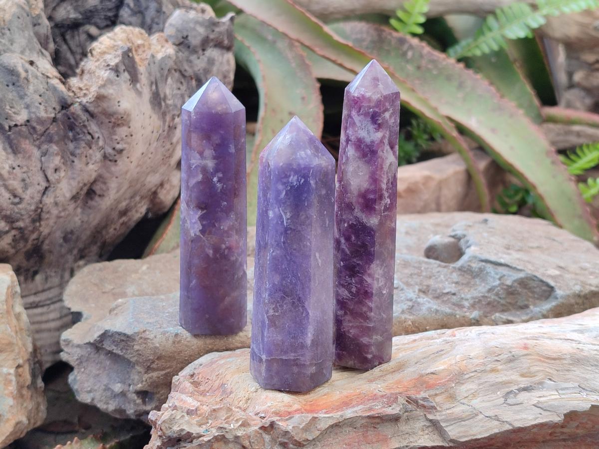 Polished Lepidolite Display Crystals x 12 From Ambatondrazaka, Madagascar - Toprock Gemstones and Minerals 
