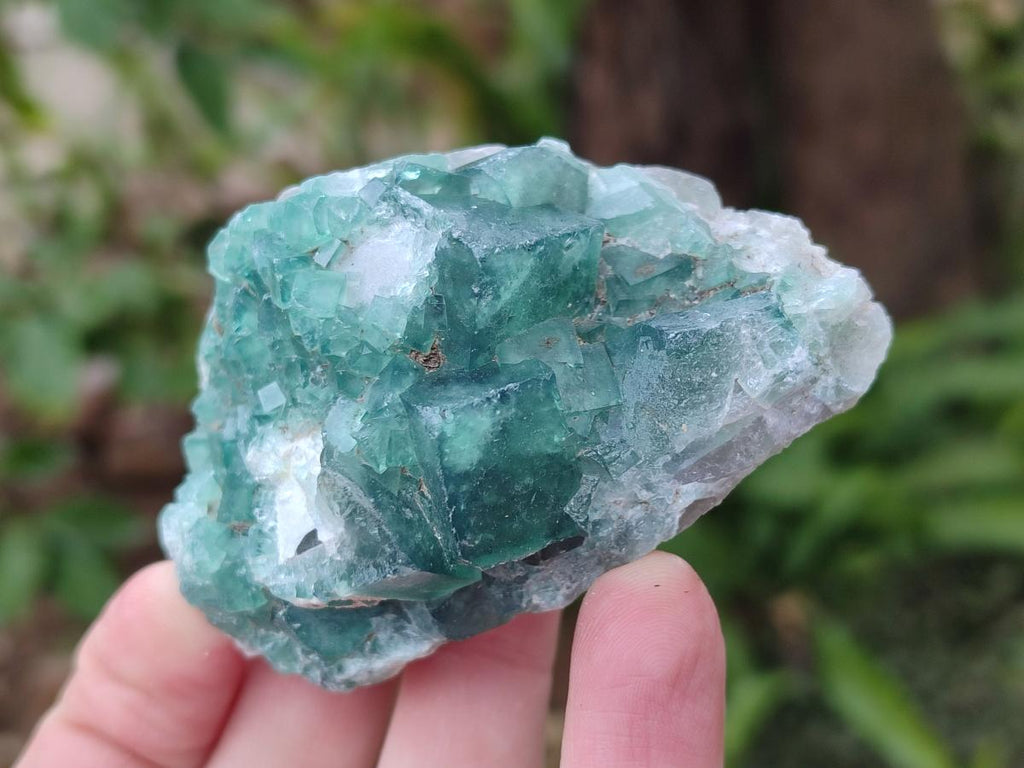 Natural Green Cubic Fluorite Specimens x 12 From Mandrosonoro, Madagascar - Toprock Gemstones and Minerals 