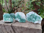 Natural Green Cubic Fluorite Specimens x 12 From Mandrosonoro, Madagascar - Toprock Gemstones and Minerals 