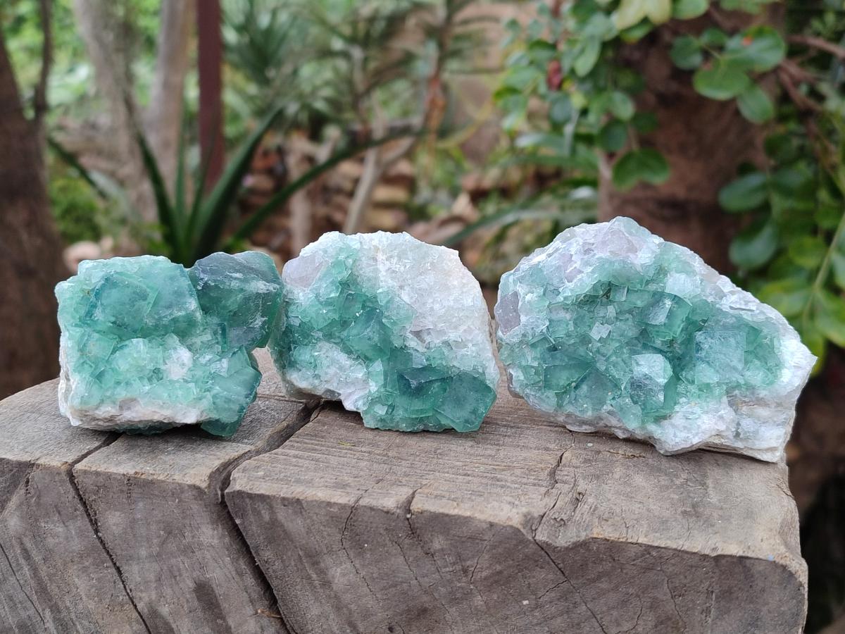 Natural Green Cubic Fluorite Specimens x 12 From Mandrosonoro, Madagascar - Toprock Gemstones and Minerals 