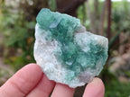 Natural Green Cubic Fluorite Specimens x 12 From Mandrosonoro, Madagascar - Toprock Gemstones and Minerals 