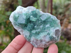 Natural Green Cubic Fluorite Specimens x 12 From Mandrosonoro, Madagascar - Toprock Gemstones and Minerals 