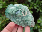 Natural Green Cubic Fluorite Specimens x 12 From Mandrosonoro, Madagascar - Toprock Gemstones and Minerals 