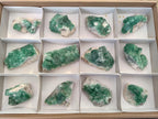 Natural Green Cubic Fluorite Specimens x 12 From Mandrosonoro, Madagascar - Toprock Gemstones and Minerals 