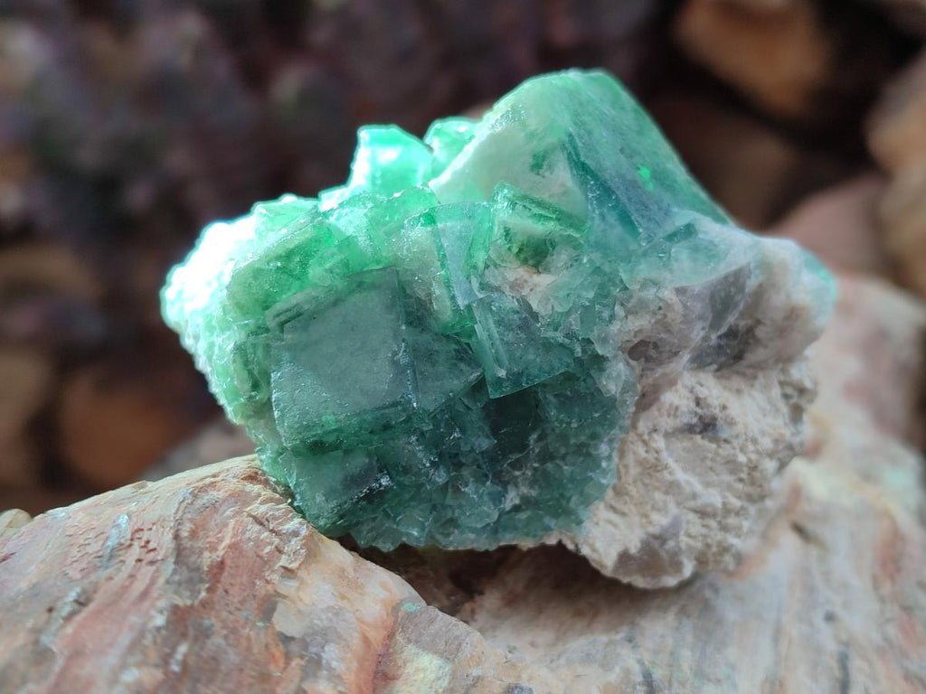 Natural Green Cubic Fluorite Specimens x 12 From Mandrosonoro, Madagascar - Toprock Gemstones and Minerals 
