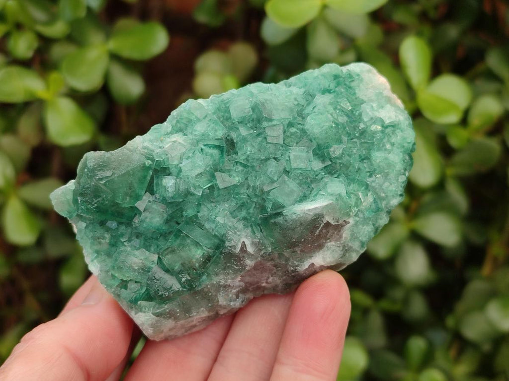 Natural Green Cubic Fluorite Specimens x 12 From Mandrosonoro, Madagascar - Toprock Gemstones and Minerals 