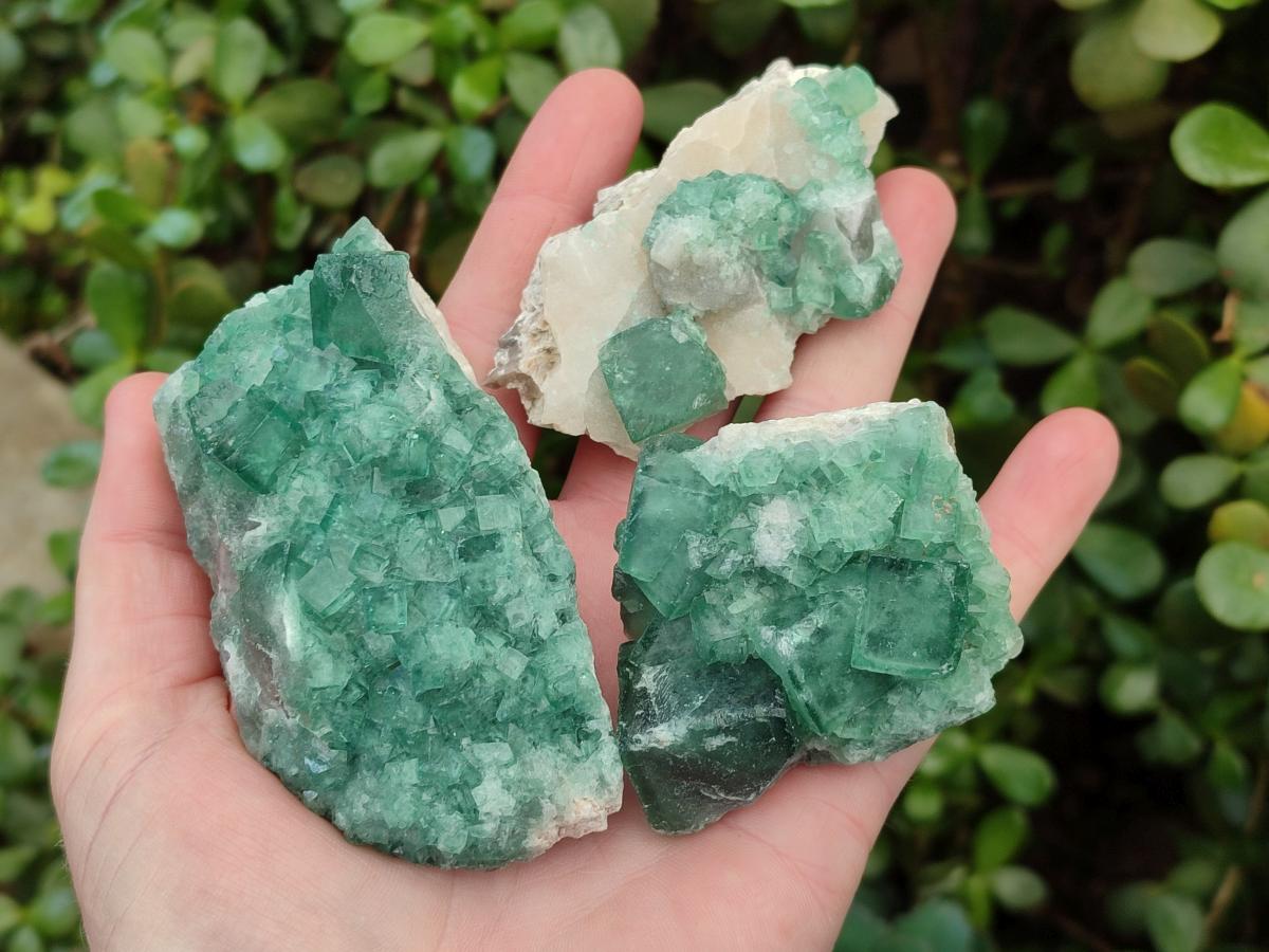 Natural Green Cubic Fluorite Specimens x 12 From Mandrosonoro, Madagascar - Toprock Gemstones and Minerals 