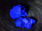 Natural Green Cubic Fluorite Specimens x 12 From Mandrosonoro, Madagascar - Toprock Gemstones and Minerals 