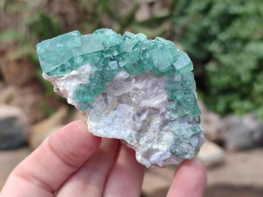 Natural Green Cubic Fluorite Specimens x 12 From Mandrosonoro, Madagascar - Toprock Gemstones and Minerals 