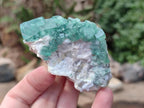 Natural Green Cubic Fluorite Specimens x 12 From Mandrosonoro, Madagascar - Toprock Gemstones and Minerals 