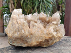Natural Large Cascading White Phantom Smokey Luena Quartz Cluster x 1 From Luena, Congo - Toprock Gemstones and Minerals 