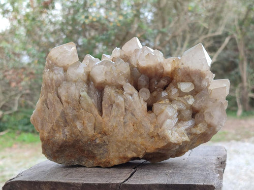 Natural Large Cascading White Phantom Smokey Luena Quartz Cluster x 1 From Luena, Congo - Toprock Gemstones and Minerals 