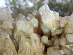 Natural Large Cascading White Phantom Smokey Luena Quartz Cluster x 1 From Luena, Congo - Toprock Gemstones and Minerals 