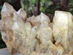 Natural Large Cascading White Phantom Smokey Luena Quartz Cluster x 1 From Luena, Congo - Toprock Gemstones and Minerals 