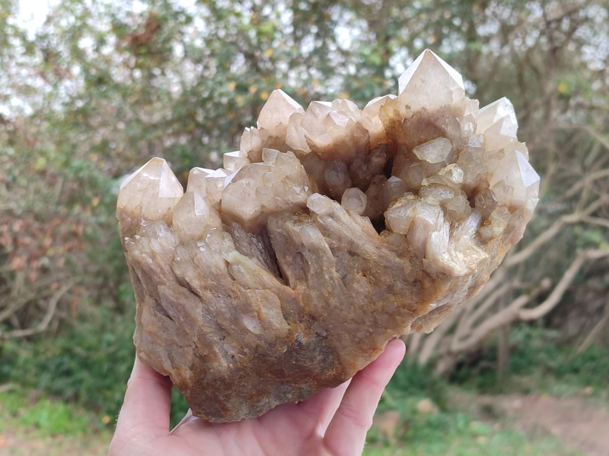 Natural Large Cascading White Phantom Smokey Luena Quartz Cluster x 1 From Luena, Congo - Toprock Gemstones and Minerals 