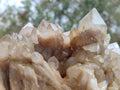 Natural Large Cascading White Phantom Smokey Luena Quartz Cluster x 1 From Luena, Congo - Toprock Gemstones and Minerals 