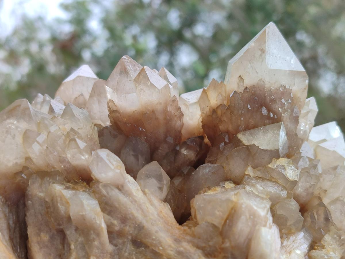Natural Large Cascading White Phantom Smokey Luena Quartz Cluster x 1 From Luena, Congo - Toprock Gemstones and Minerals 