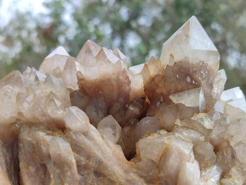 Natural Large Cascading White Phantom Smokey Luena Quartz Cluster x 1 From Luena, Congo - Toprock Gemstones and Minerals 
