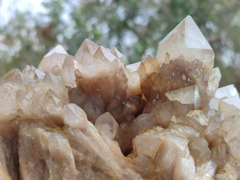 Natural Large Cascading White Phantom Smokey Luena Quartz Cluster x 1 From Luena, Congo - Toprock Gemstones and Minerals 