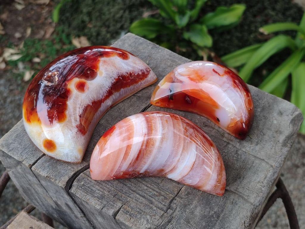 Polished Carnelian Gemstone Crescent Moons x 3 From Madagascar - Toprock Gemstones and Minerals 