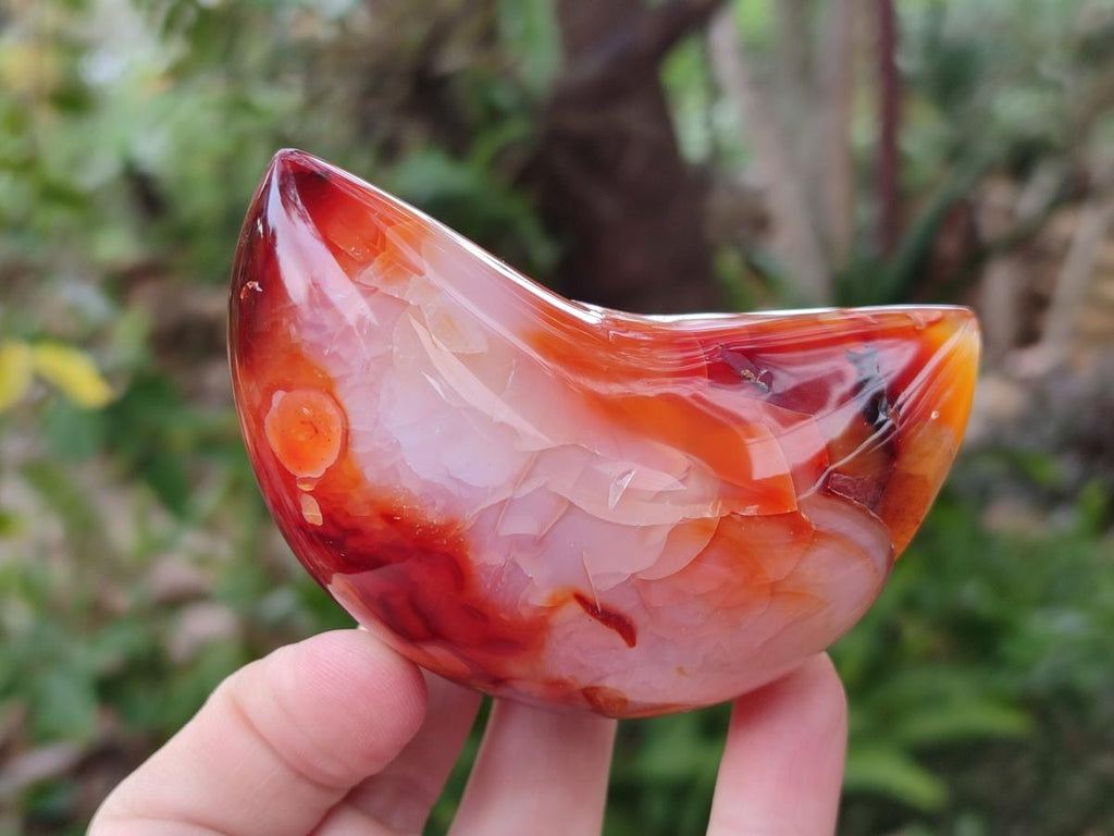 Polished Carnelian Gemstone Crescent Moons x 3 From Madagascar - Toprock Gemstones and Minerals 