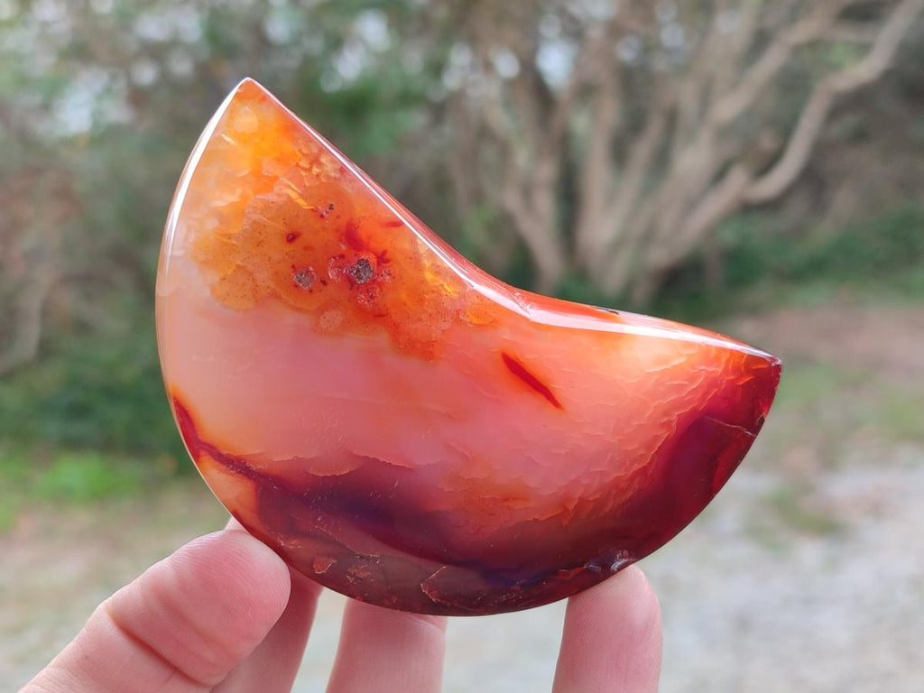 Polished Carnelian Gemstone Crescent Moons x 3 From Madagascar - Toprock Gemstones and Minerals 