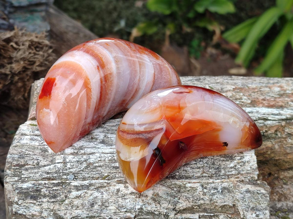 Polished Carnelian Gemstone Crescent Moons x 3 From Madagascar - Toprock Gemstones and Minerals 