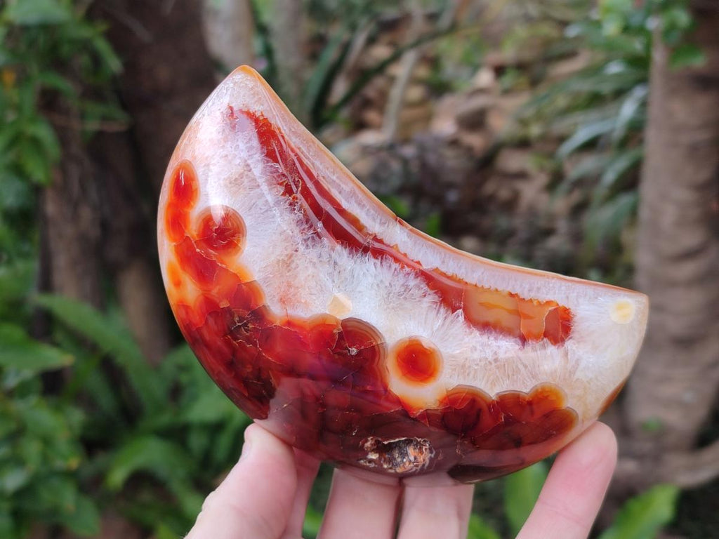Polished Carnelian Gemstone Crescent Moons x 3 From Madagascar - Toprock Gemstones and Minerals 