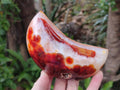 Polished Carnelian Gemstone Crescent Moons x 3 From Madagascar - Toprock Gemstones and Minerals 