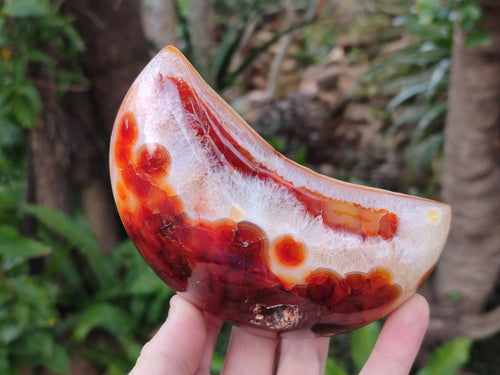 Polished Carnelian Gemstone Crescent Moons x 3 From Madagascar - Toprock Gemstones and Minerals 
