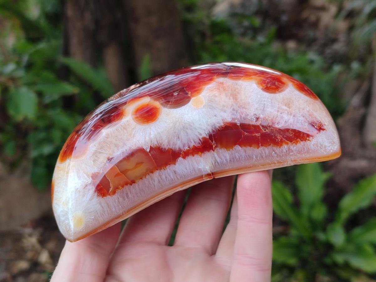 Polished Carnelian Gemstone Crescent Moons x 3 From Madagascar - Toprock Gemstones and Minerals 