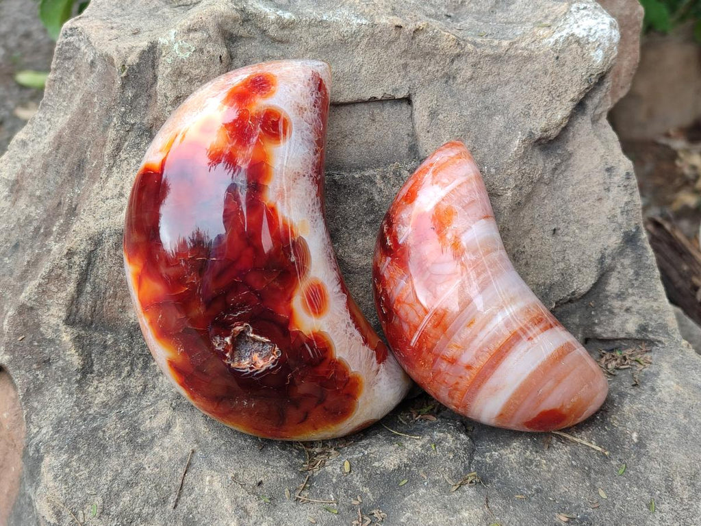 Polished Carnelian Gemstone Crescent Moons x 3 From Madagascar - Toprock Gemstones and Minerals 
