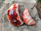 Polished Carnelian Gemstone Crescent Moons x 3 From Madagascar - Toprock Gemstones and Minerals 
