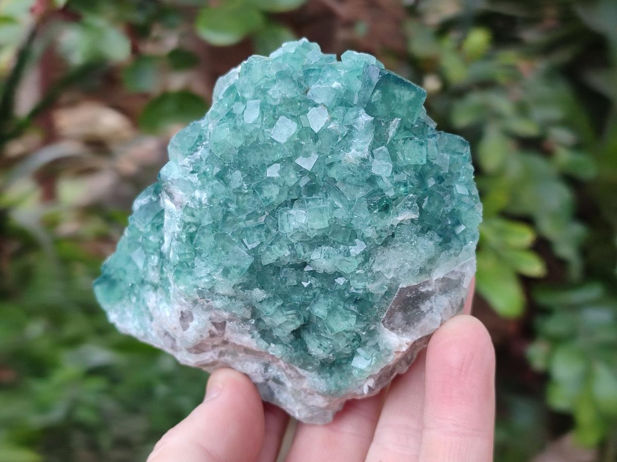 Natural Cabinet Size Green Cubic Fluorite Specimens x 3 From Mandrosonoro, Madagascar - Toprock Gemstones and Minerals 