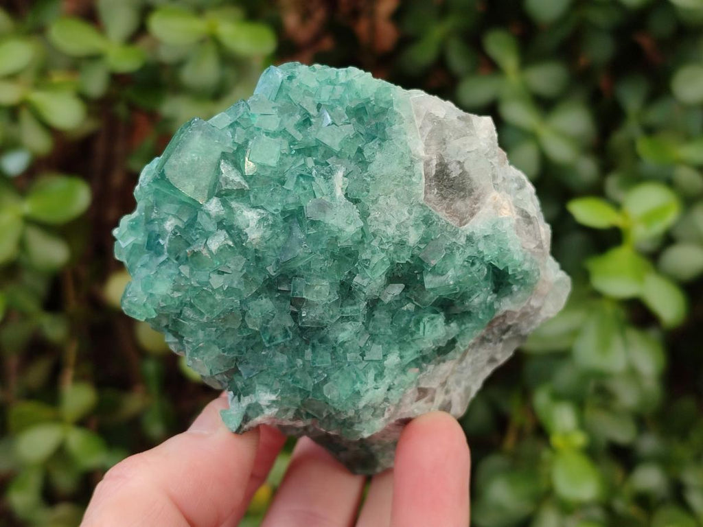 Natural Cabinet Size Green Cubic Fluorite Specimens x 3 From Mandrosonoro, Madagascar - Toprock Gemstones and Minerals 