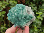 Natural Cabinet Size Green Cubic Fluorite Specimens x 3 From Mandrosonoro, Madagascar - Toprock Gemstones and Minerals 