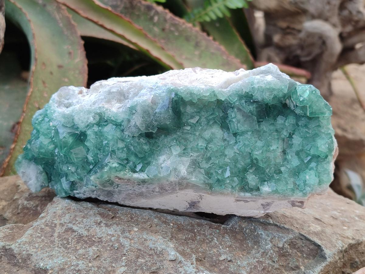Natural Cabinet Size Green Cubic Fluorite Specimens x 3 From Mandrosonoro, Madagascar - Toprock Gemstones and Minerals 