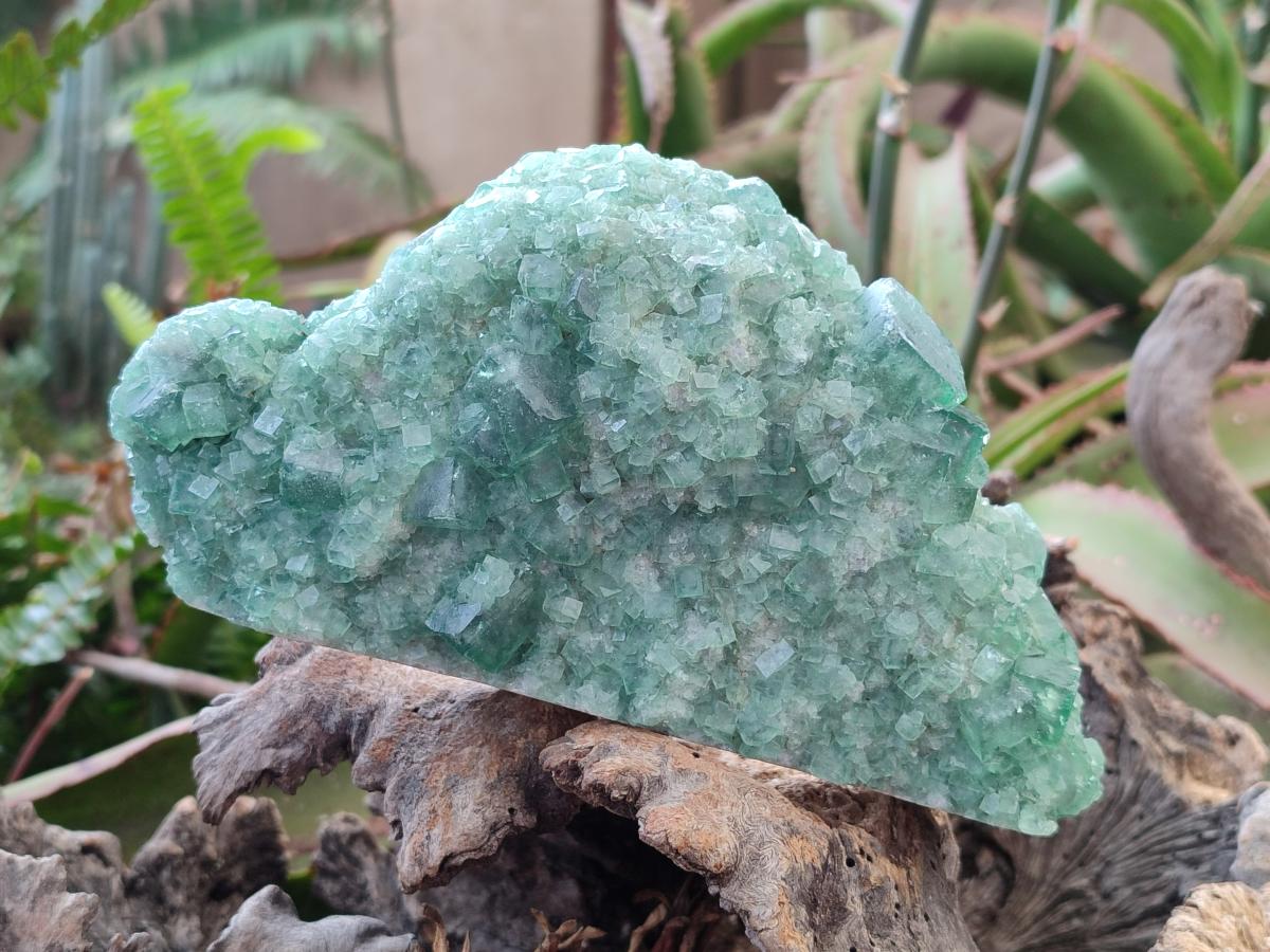 Natural Cabinet Size Green Cubic Fluorite Specimens x 3 From Mandrosonoro, Madagascar - Toprock Gemstones and Minerals 