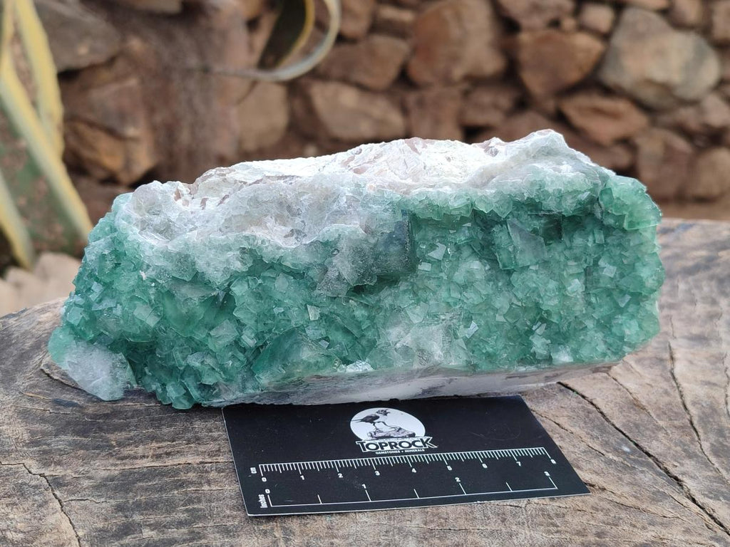 Natural Cabinet Size Green Cubic Fluorite Specimens x 3 From Mandrosonoro, Madagascar - Toprock Gemstones and Minerals 