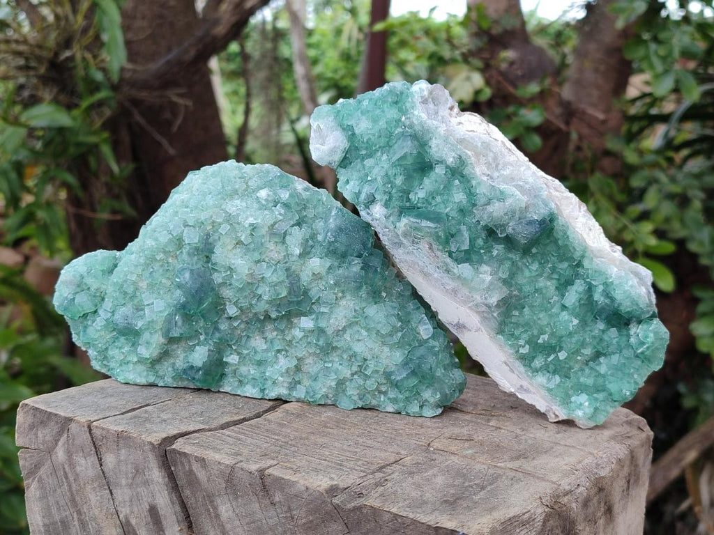 Natural Cabinet Size Green Cubic Fluorite Specimens x 3 From Mandrosonoro, Madagascar - Toprock Gemstones and Minerals 
