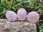 Polished Gemmy Rose Quartz Palm Stones x 20 From Madagascar - Toprock Gemstones and Minerals 