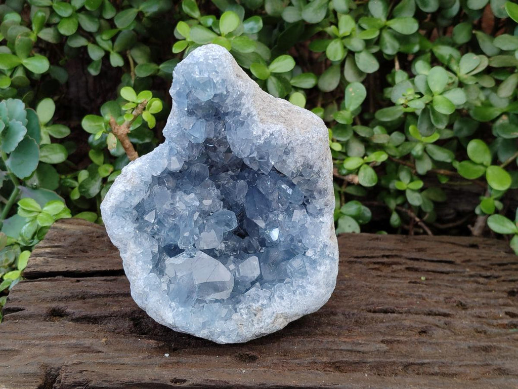 Natural Large Blue Celestite Geode Specimen x 1 From Sakoany, Madagascar - Toprock Gemstones and Minerals 