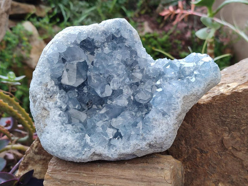 Natural Large Blue Celestite Geode Specimen x 1 From Sakoany, Madagascar - Toprock Gemstones and Minerals 