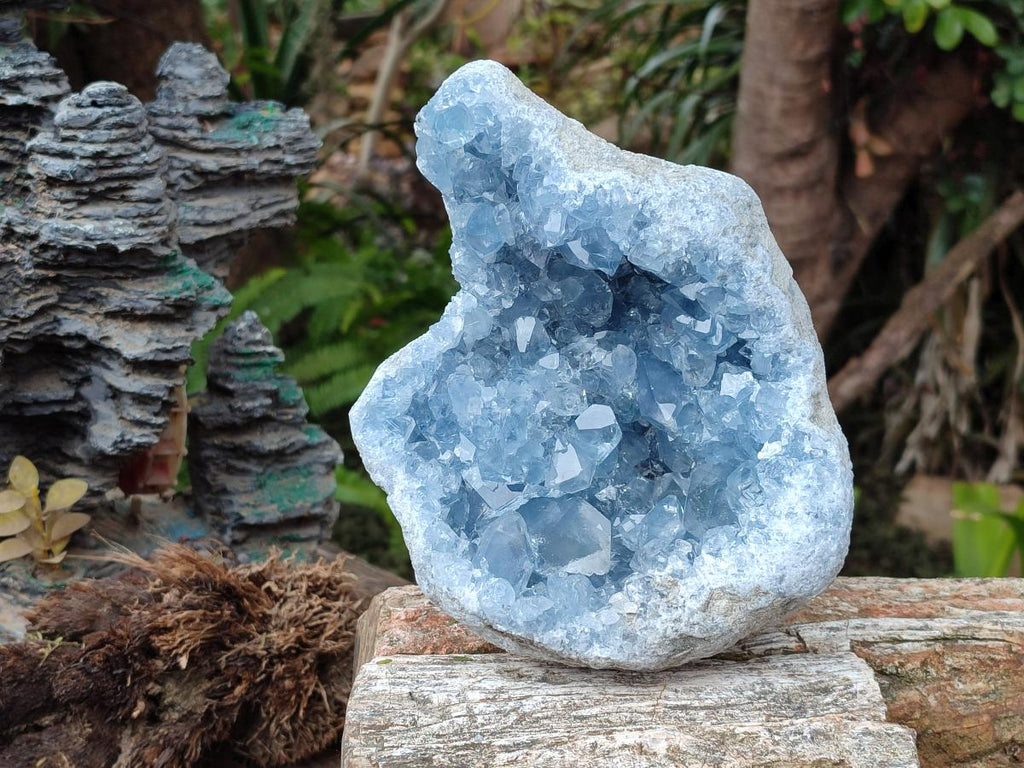 Natural Large Blue Celestite Geode Specimen x 1 From Sakoany, Madagascar - Toprock Gemstones and Minerals 