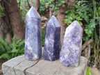 Polished Lepidolite Display Crystals x 3 From Ambatondrazaka, Madagascar - Toprock Gemstones and Minerals 