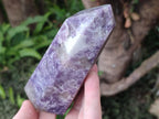 Polished Lepidolite Display Crystals x 3 From Ambatondrazaka, Madagascar - Toprock Gemstones and Minerals 