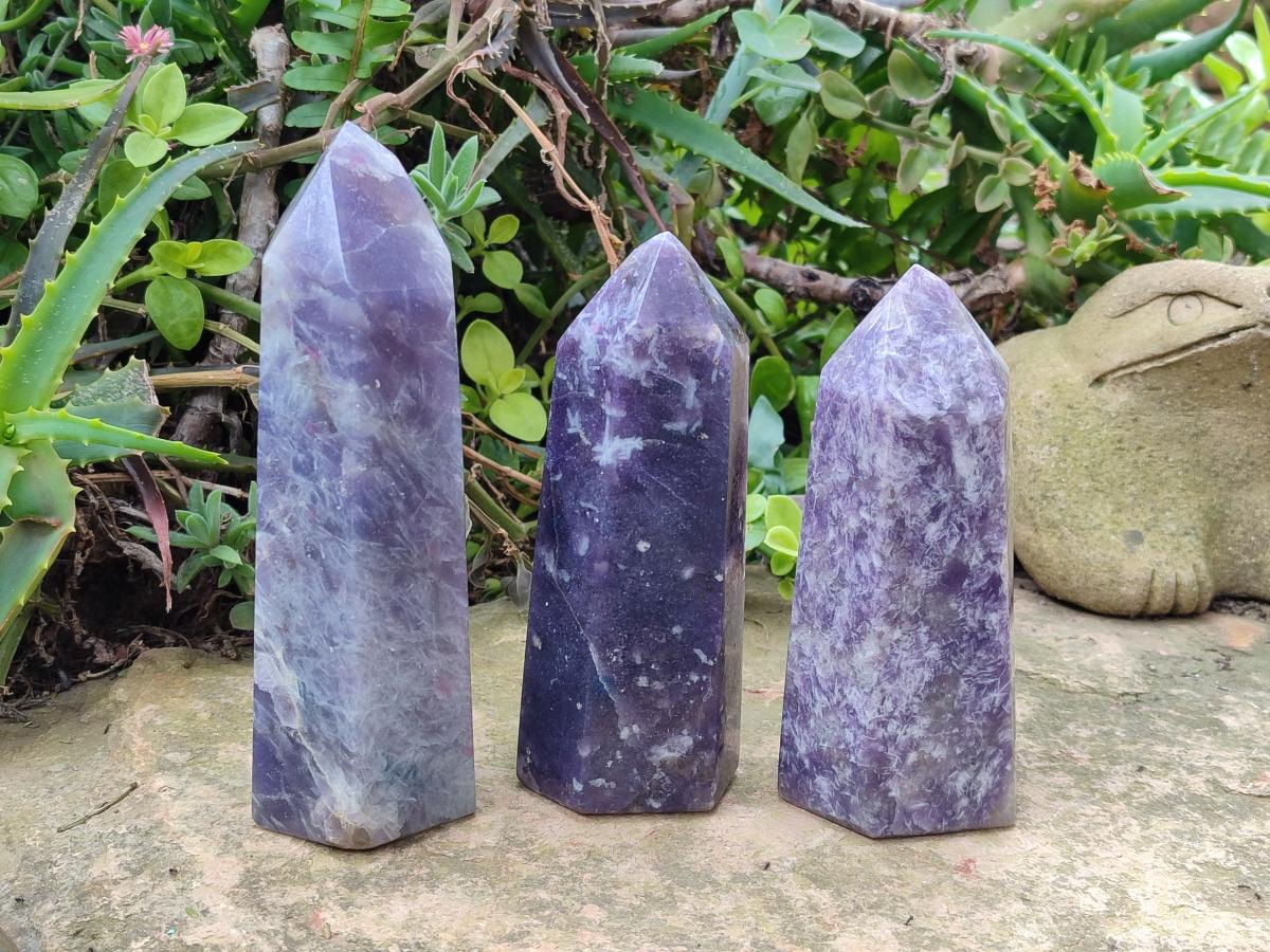Polished Lepidolite Display Crystals x 3 From Ambatondrazaka, Madagascar - Toprock Gemstones and Minerals 