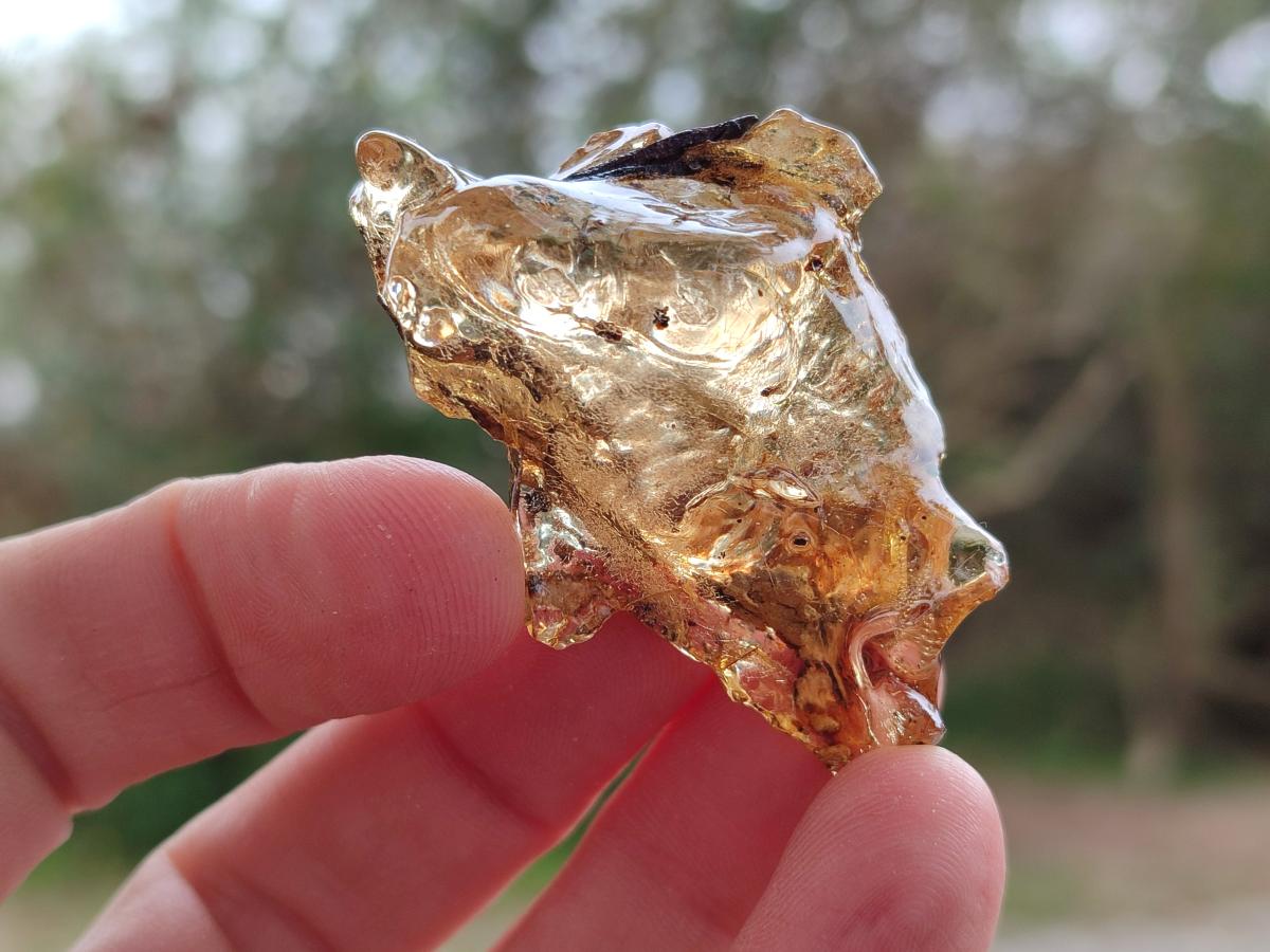 Natural Copal Amber Specimens with Insect and Plant Inclusions x 24 From Lemur Island, Madagascar - Toprock Gemstones and Minerals 