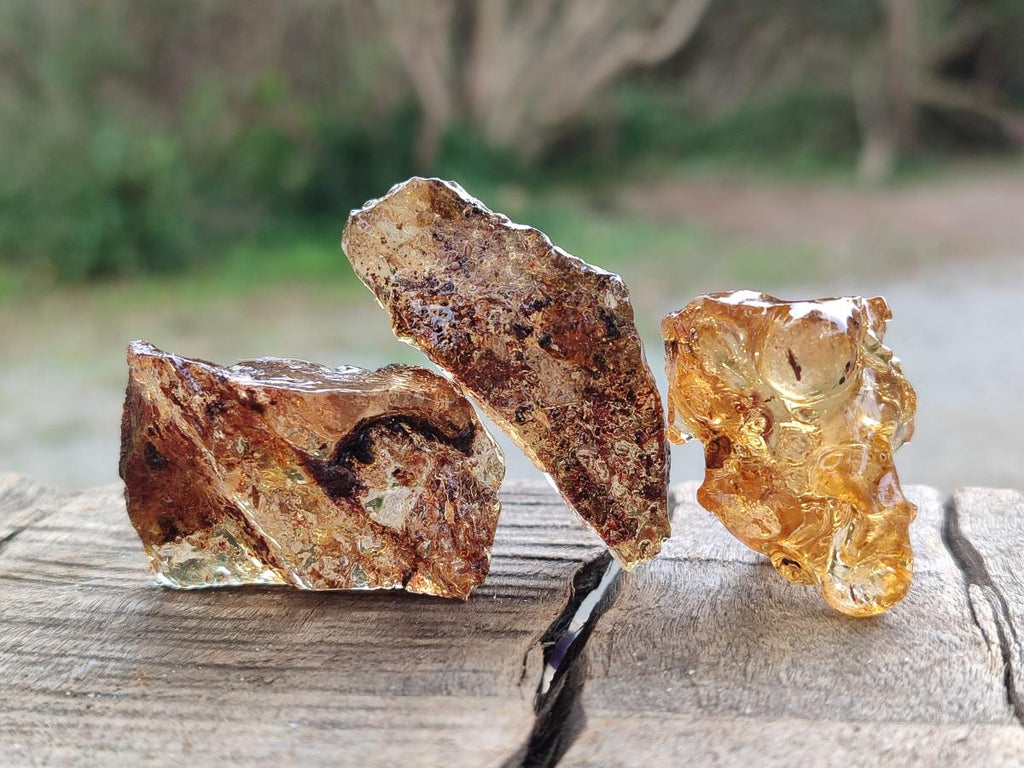 Natural Copal Amber Specimens with Insect and Plant Inclusions x 24 From Lemur Island, Madagascar - Toprock Gemstones and Minerals 